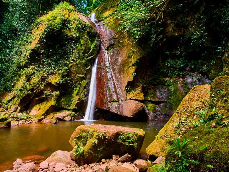 cascada-del-Tamushal-Alto-Shilcayo